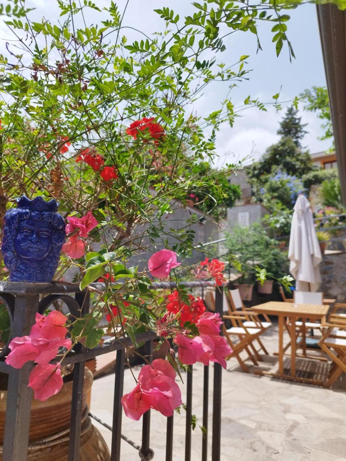 焦约萨马雷阿 Borgo San Francesco酒店 外观 照片